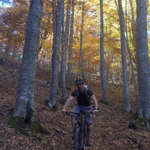 Mountain bike – Καταφύγιο Κορομηλιά Mountain bike – Καταφύγιο Κορομηλιά